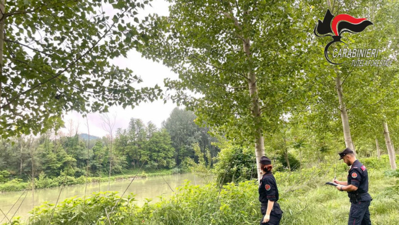 La campagna di controlli dei Carabinieri Forestali